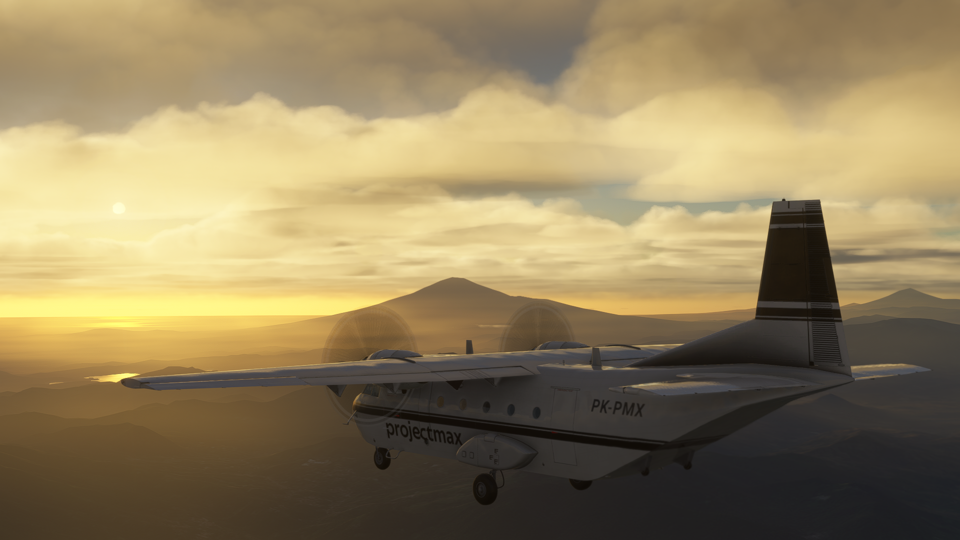 C212-200 flight model